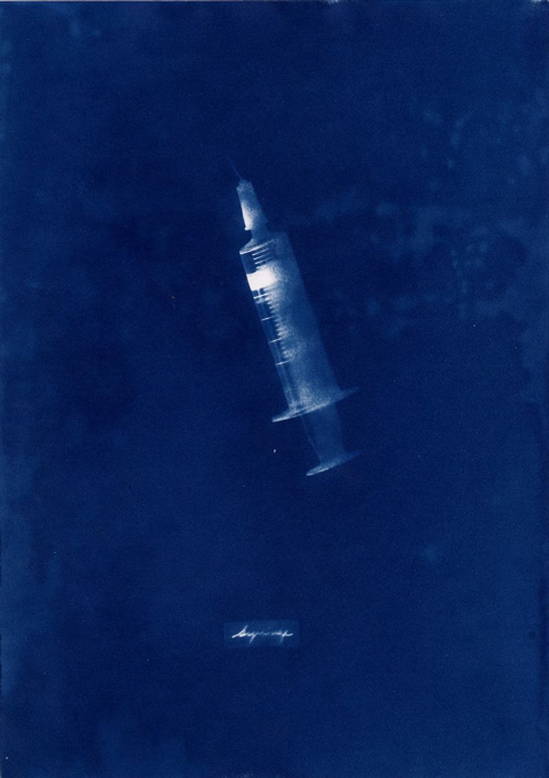 © Sebastian Abugattas - Image from the Shadows in the Wild photography project