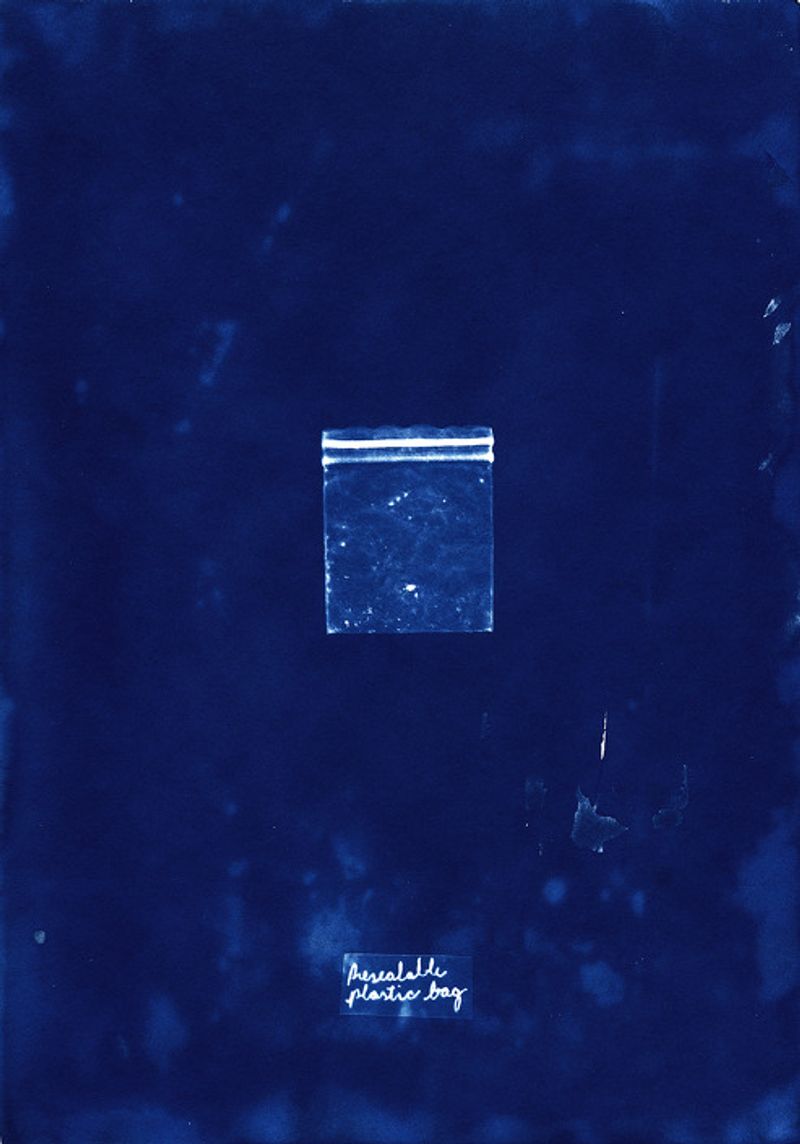 © Sebastian Abugattas - Image from the Shadows in the Wild photography project