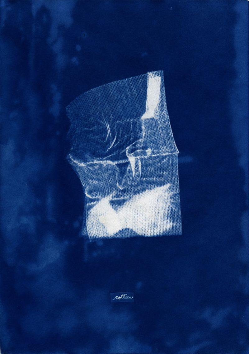 © Sebastian Abugattas - Image from the Shadows in the Wild photography project