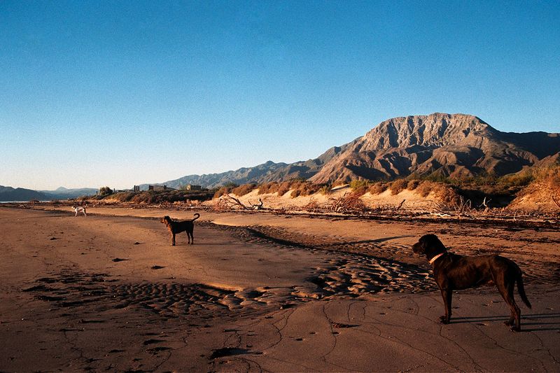 © Angélica Escoto - Image from the Desert sea photography project