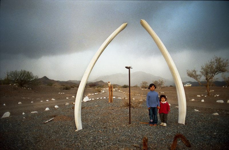 © Angélica Escoto - Image from the Desert sea photography project