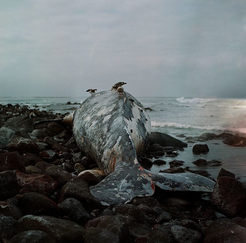 © Angélica Escoto - Image from the Desert sea photography project