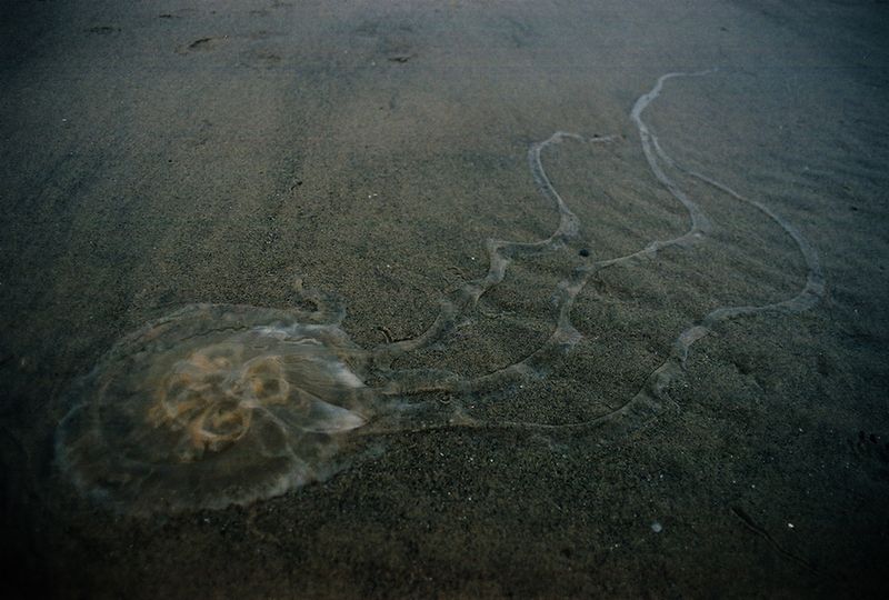 © Angélica Escoto - Image from the Desert sea photography project
