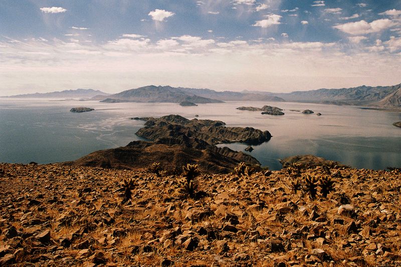 © Angélica Escoto - Image from the Desert sea photography project