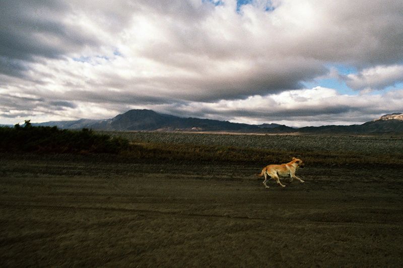 © Angélica Escoto - Image from the Desert sea photography project