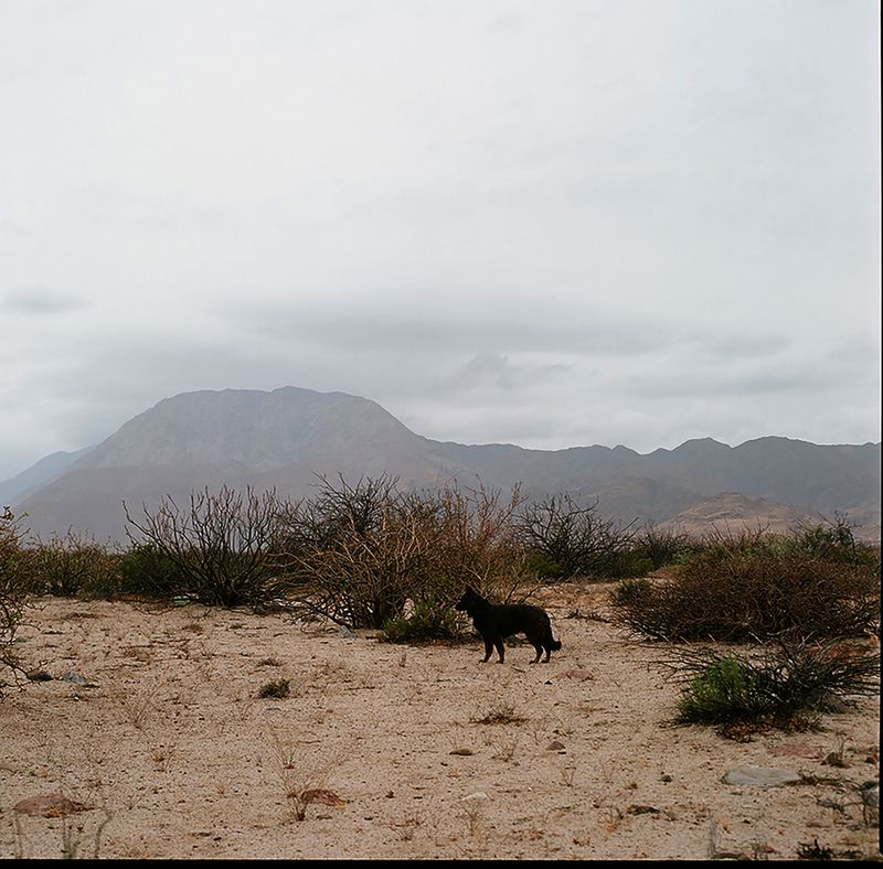 © Angélica Escoto - Image from the "They go stranded" photography project