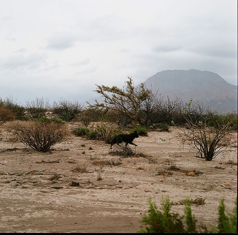 © Angélica Escoto - Image from the "They go stranded" photography project