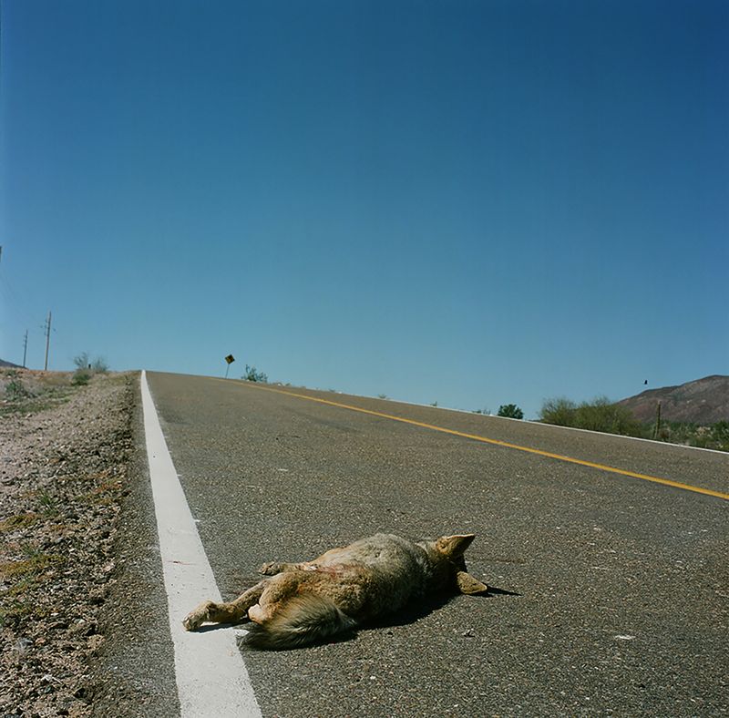 © Angélica Escoto - Image from the "They go stranded" photography project