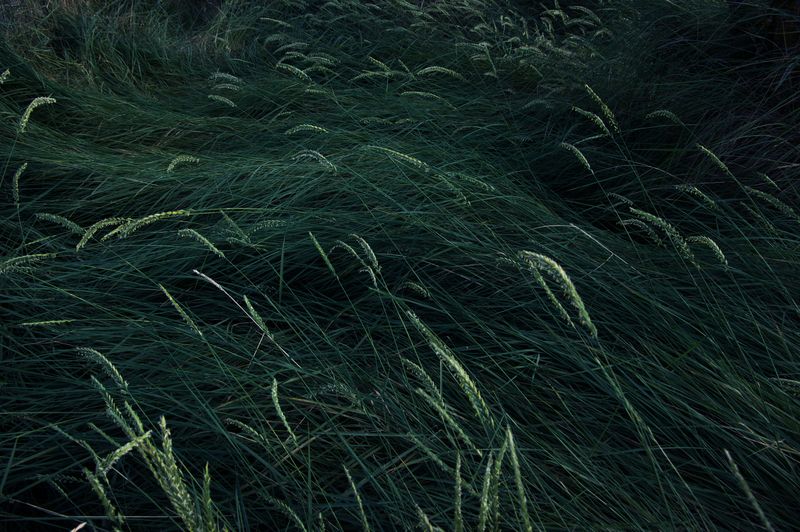 © Savvas Kois - Image from the The girls of the lake photography project