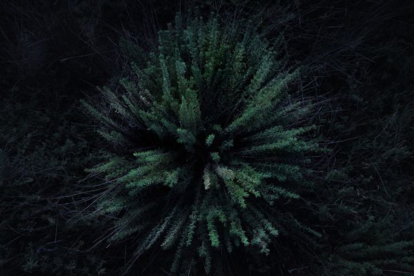 © Savvas Kois - Image from the The girls of the lake photography project