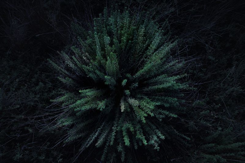 © Savvas Kois - Image from the The girls of the lake photography project