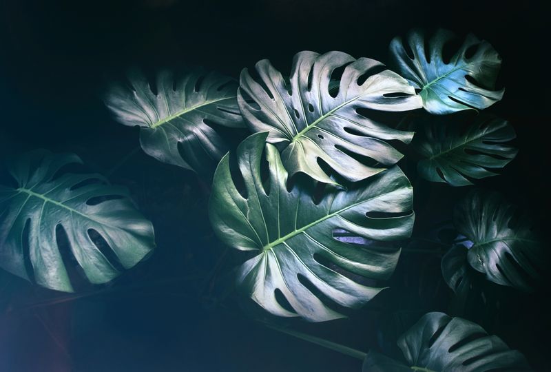 © Savvas Kois - Image from the The girls of the lake photography project