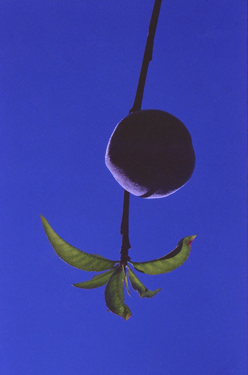 © Marisol Mendez - Image from the Madre photography project