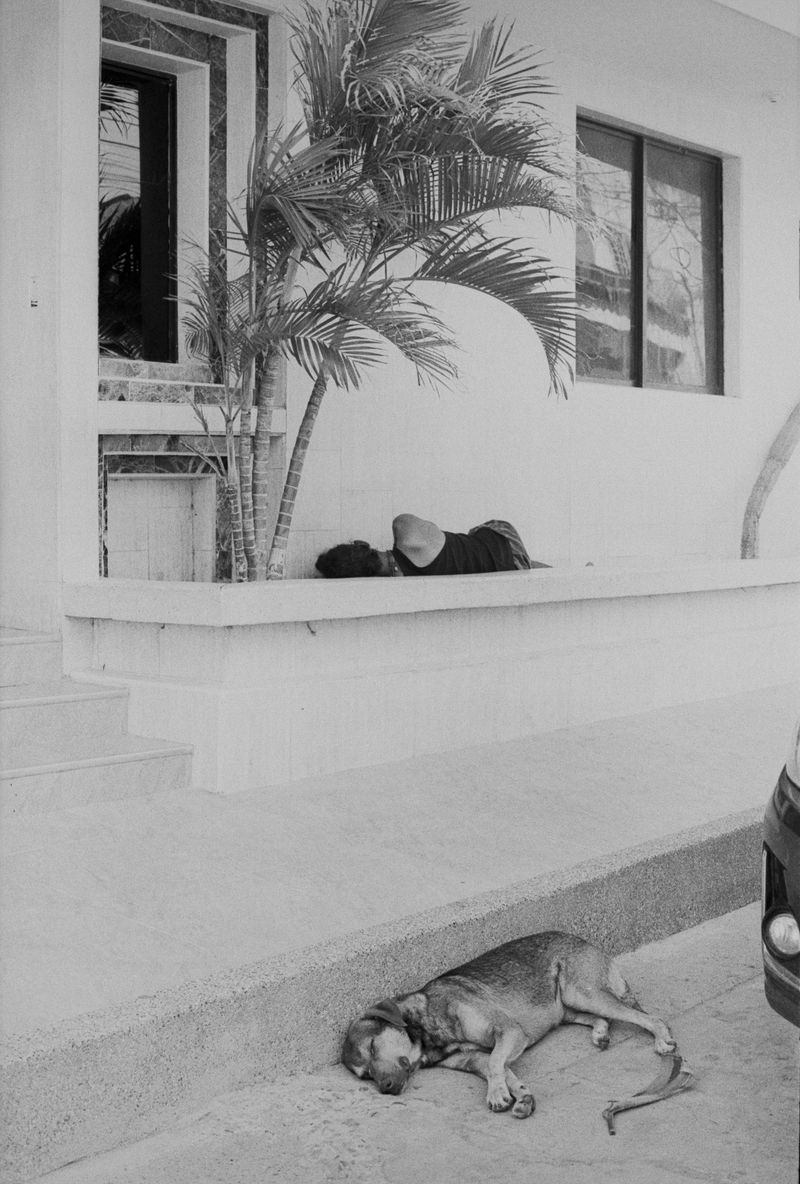 © Marisol Mendez - Image from the Padre photography project