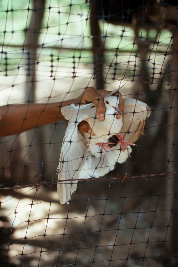 © Marisol Mendez - Image from the Padre photography project