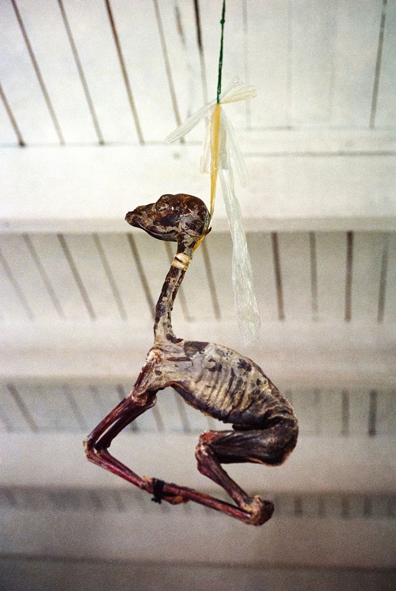 © Marisol Mendez - Image from the Padre photography project