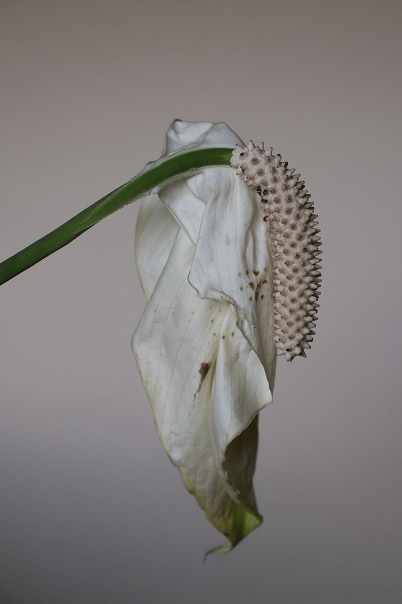 © Marisol Mendez - Image from the MADRE photography project