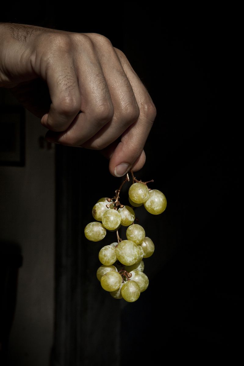 © Diambra Mariani - F. with our grape (for the first time)