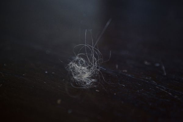 © Diambra Mariani - Hairs on the stairs