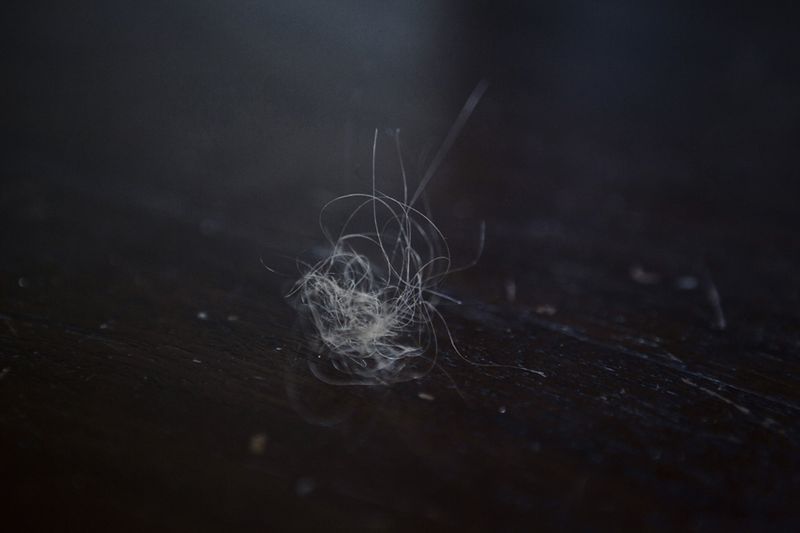 © Diambra Mariani - Hairs on the stairs