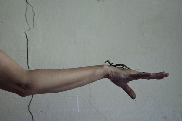 © Diambra Mariani - Me and a dead lizard