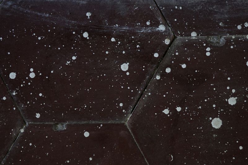 © Diambra Mariani - The floor before we cleaned it up.