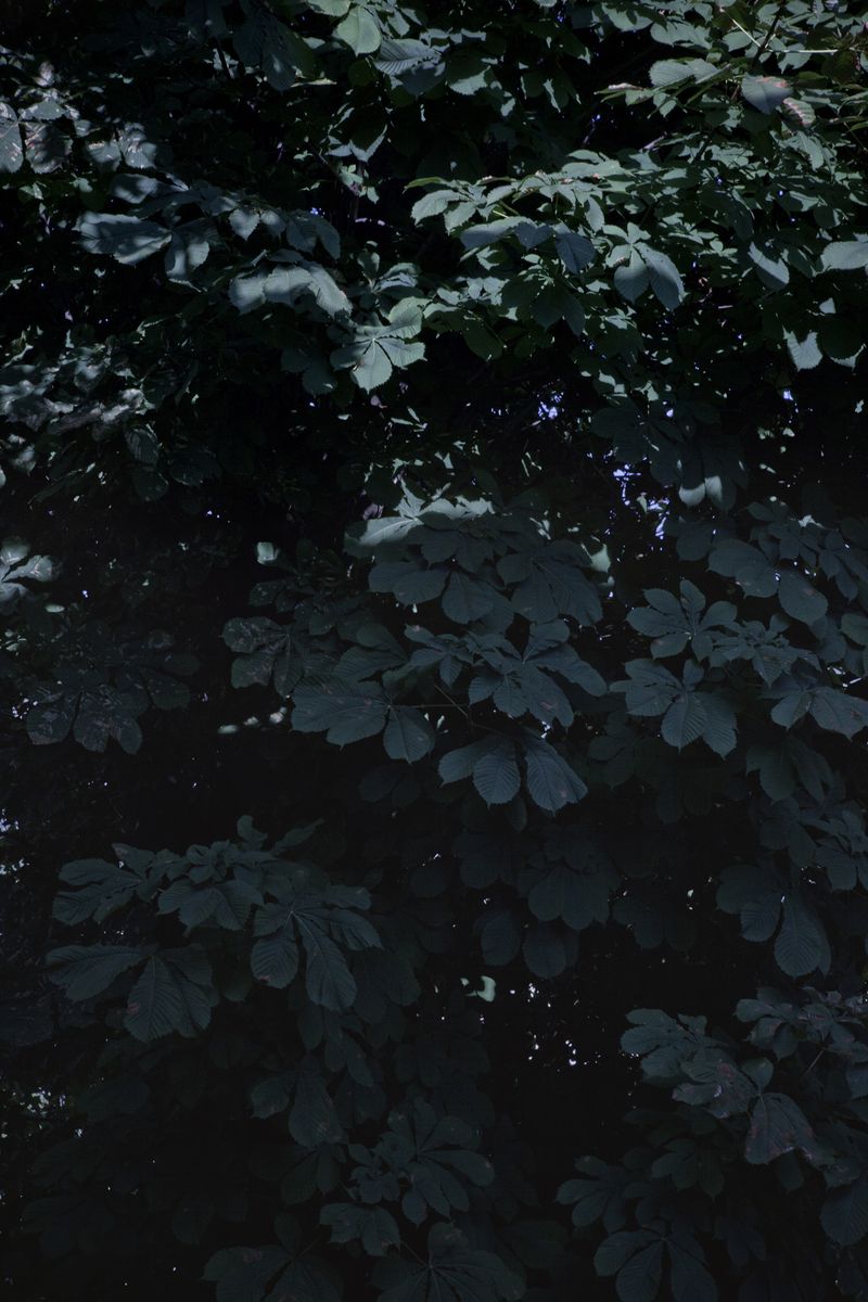 © Diambra Mariani - View from the second floor room.