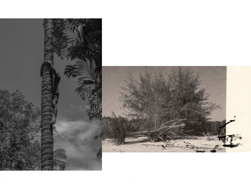 © Diambra Mariani - Image from the Honeymoon photography project