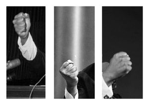 THE FIST PHOTOS: ON THE POLYSEMY OF THE FIST