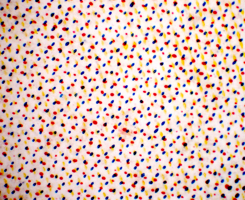 © Francesca Seravalle - Seated woman with hat - Halftone