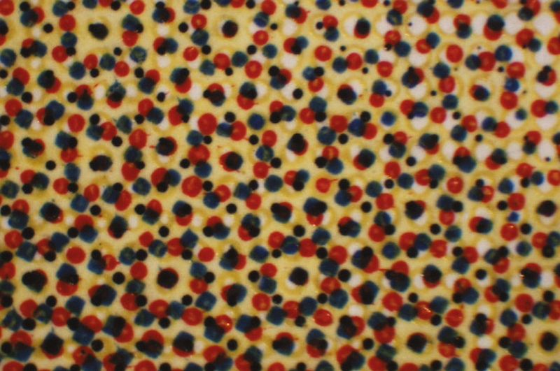 © Francesca Seravalle - Still life with apples - Halftone