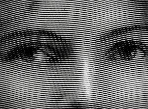 MAGNIFICATION - A conscious act of seeing