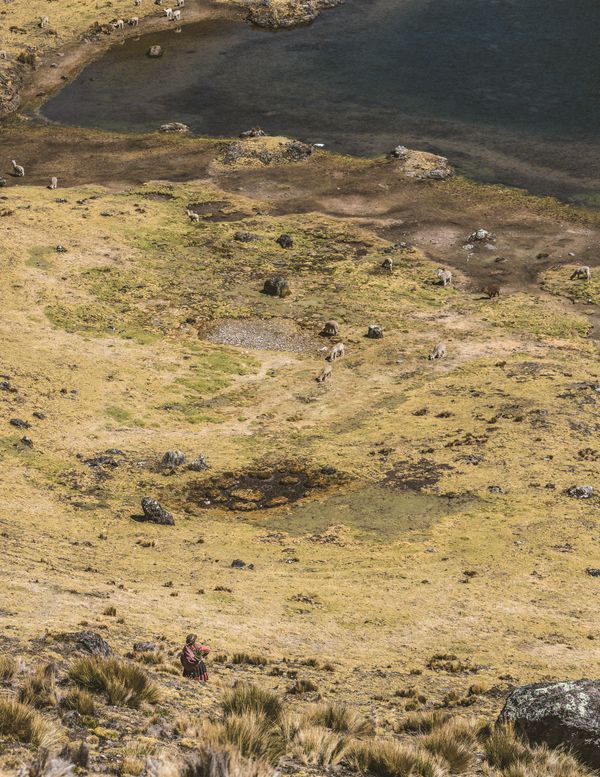 © Javier Gogna - Línea de altura. Desde lejos, una figura desciende, mínima frente al peso de la tierra.