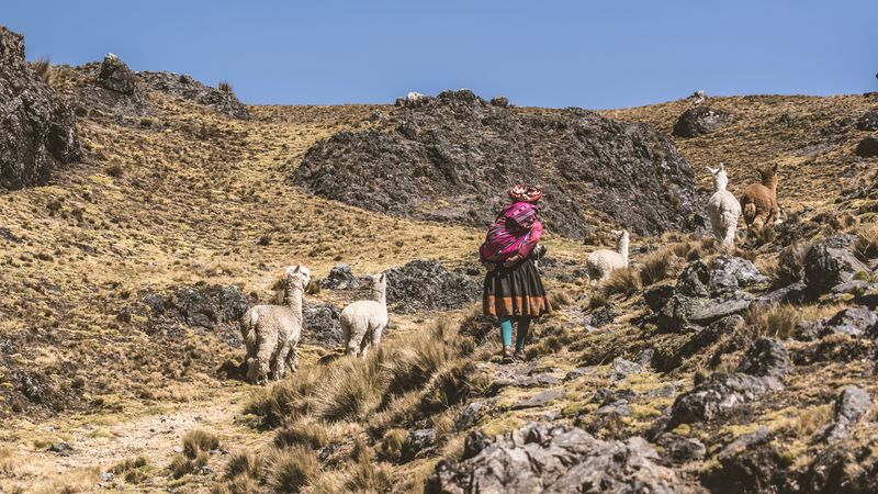 © Javier Gogna - Cada paso sostiene el paisaje.