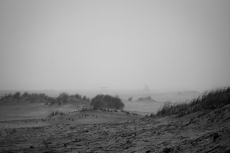 © Javier Gogna - SILENCE The landscape waits for what no longer returns.
