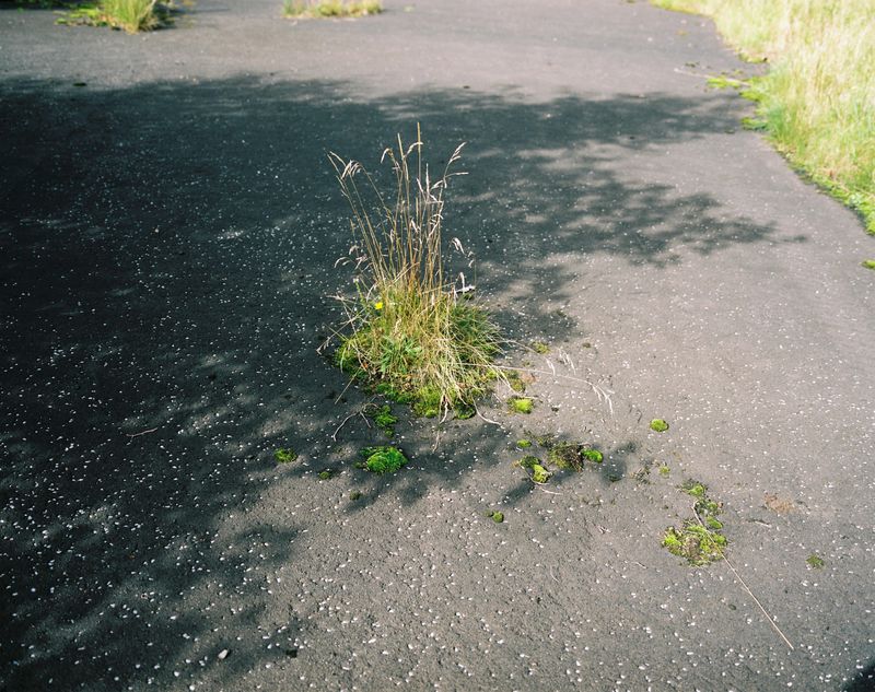 © Kirsty Mackay - Derelict school playground, Drumchapel.