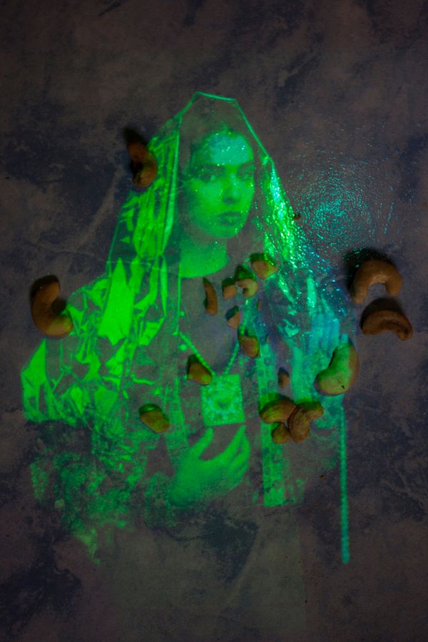 © Olga Kocsi - apparition of cashew nuts, 2020