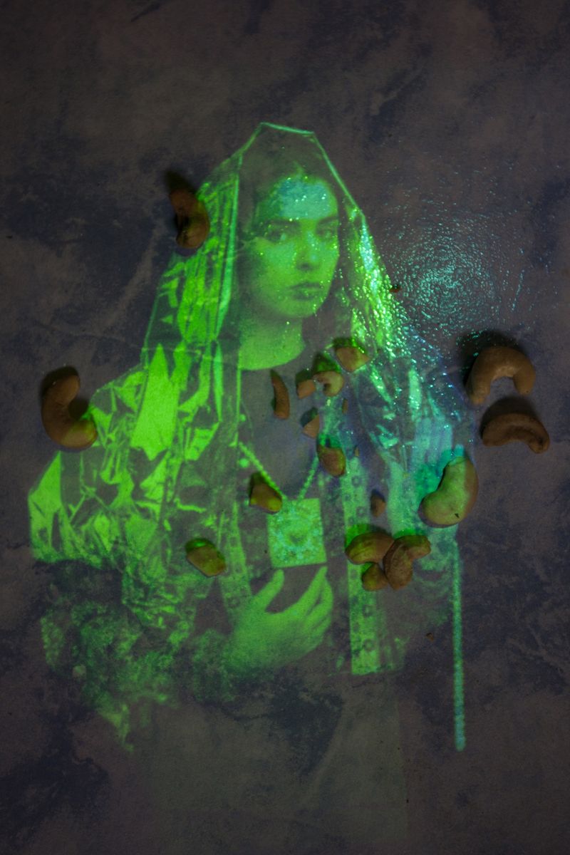 © Olga Kocsi - apparition of cashew nuts, 2020