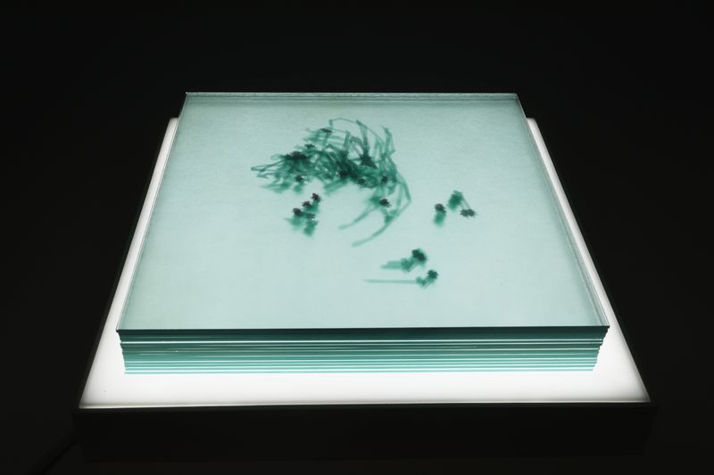 © Olga Kocsi - artist: embroidery a hand washed plate photo series countour