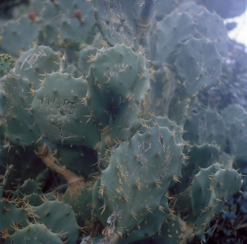 © Kamila K Stanley - Image from the Tenha Orgulho ("Take Pride") photography project