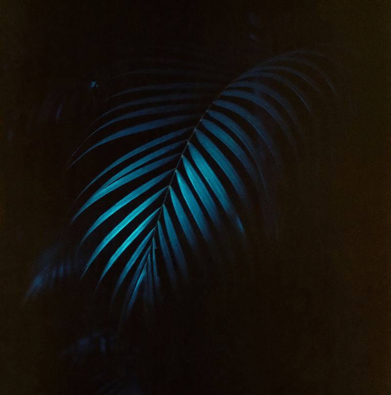 © Kamila K Stanley - Image from the Tenha Orgulho ("Take Pride") photography project