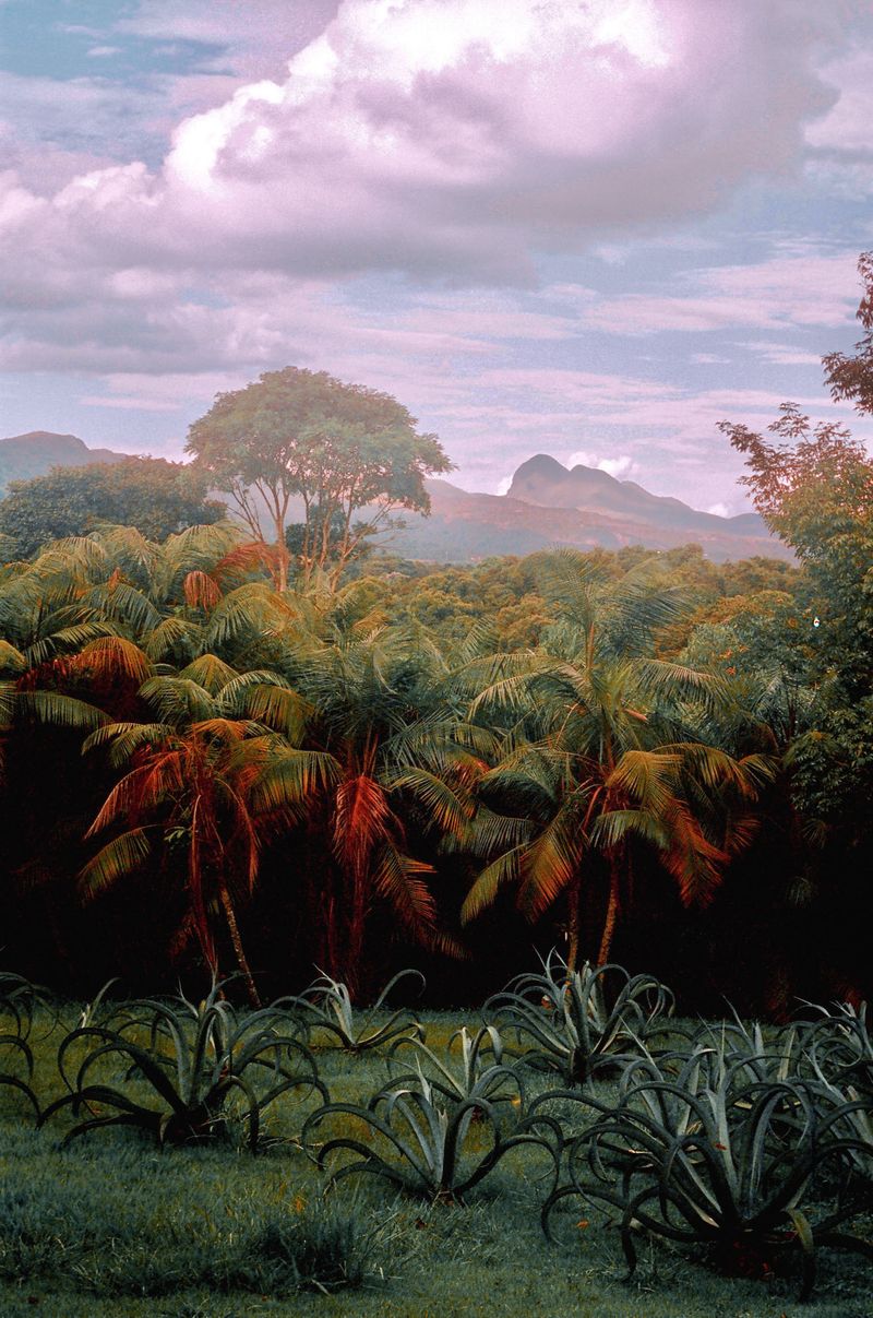 © Kamila K Stanley - Image from the Tenha Orgulho ("Take Pride") photography project