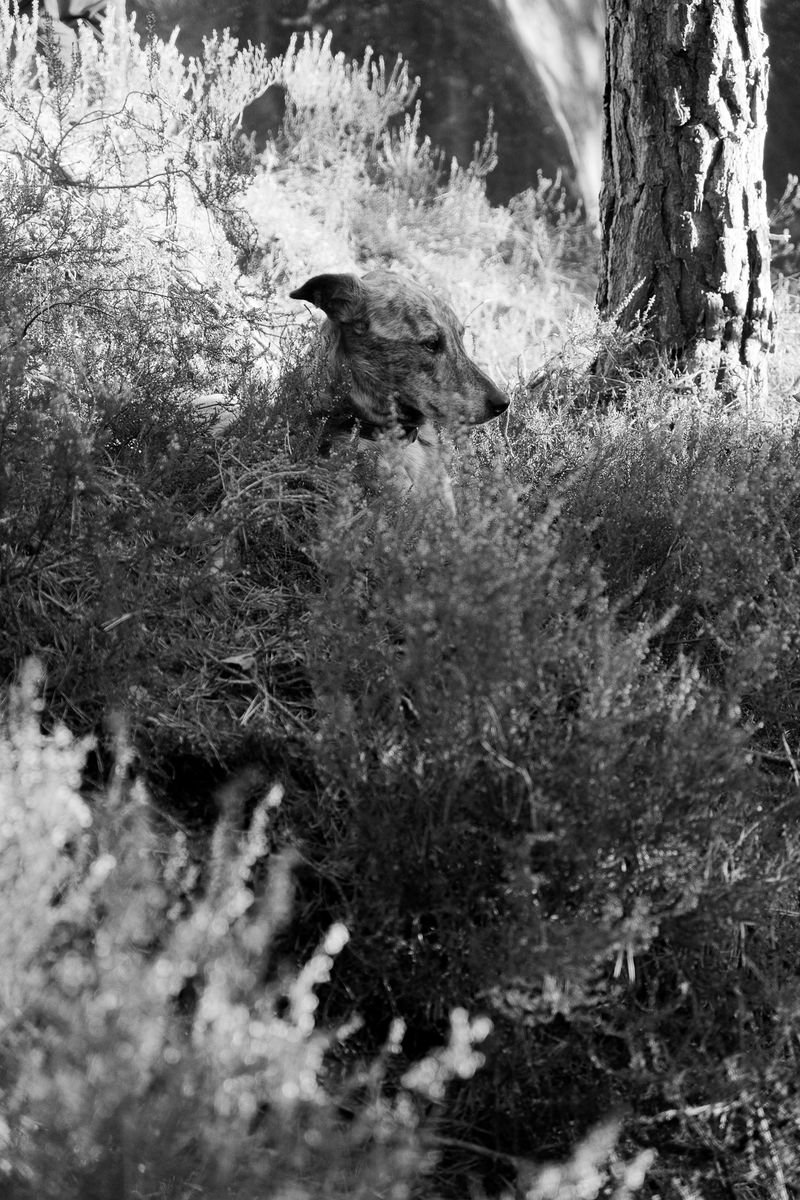 © Silvia Arenas - Image from the Intertwined photography project