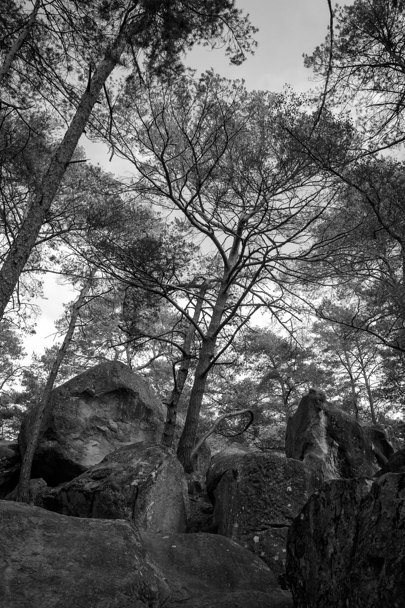 © Silvia Arenas - Image from the Intertwined photography project