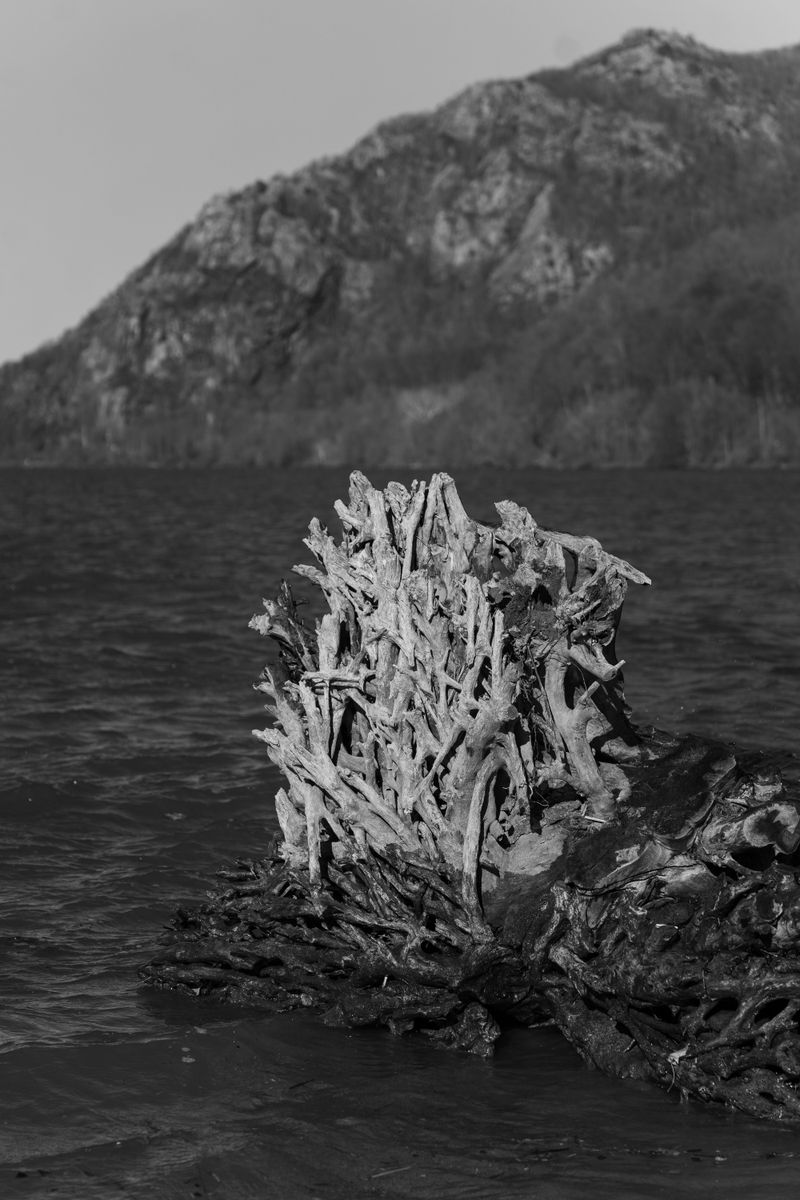 © Elizaveta Kozlova - Image from the ANTE PERPETUUM photography project