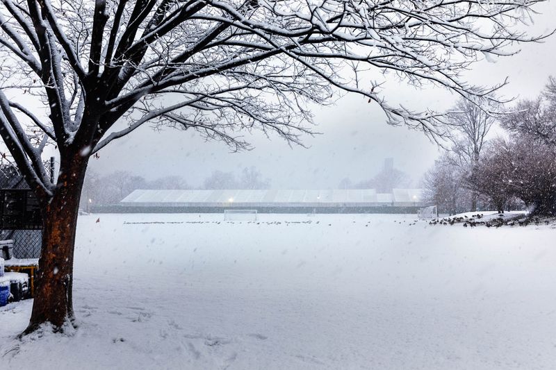 © Sebastian Sele - Image from the Kings Without Land photography project