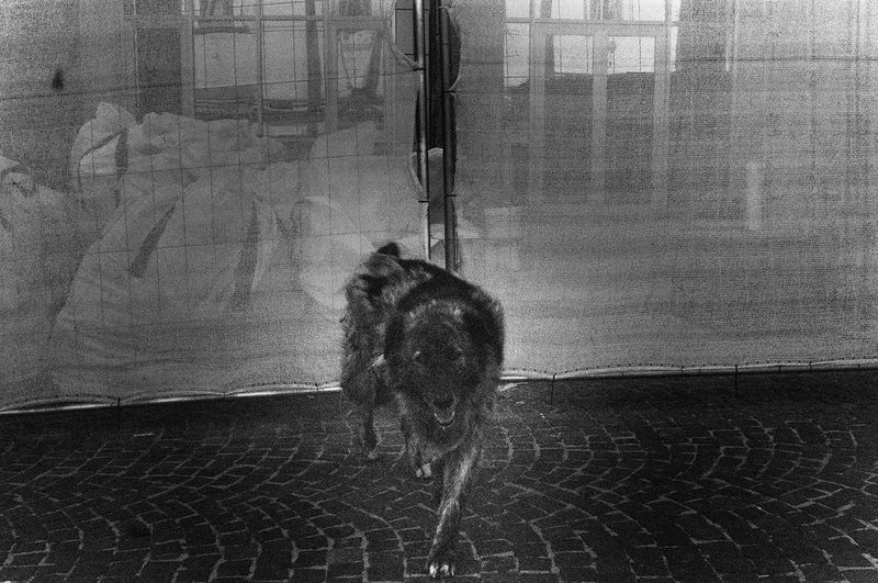 © Stefano Vigni - Image from the Derive, Italy in crisis photography project