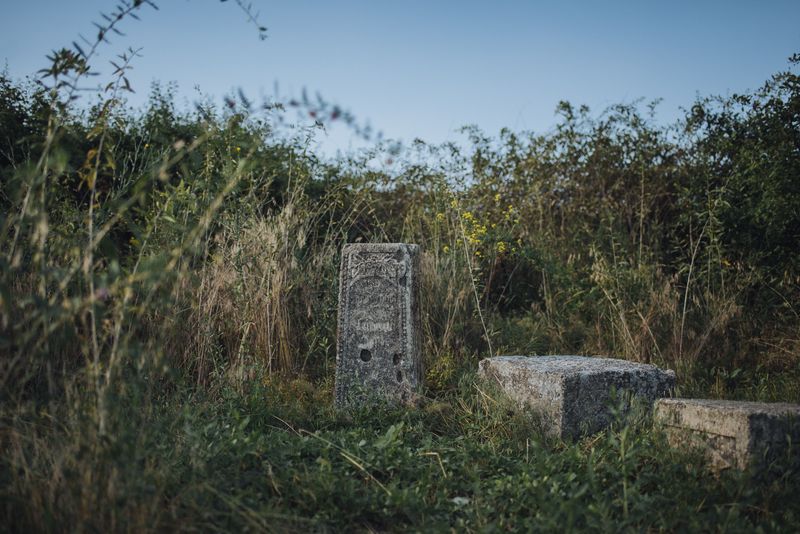 © Anton Polyakov - The old German cemetery in the village of Kolosovo (Bergdorf)