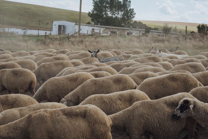 © Anton Polyakov - Image from the Home on the border photography project