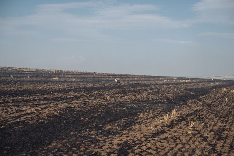 © Anton Polyakov - Image from the Home on the border photography project